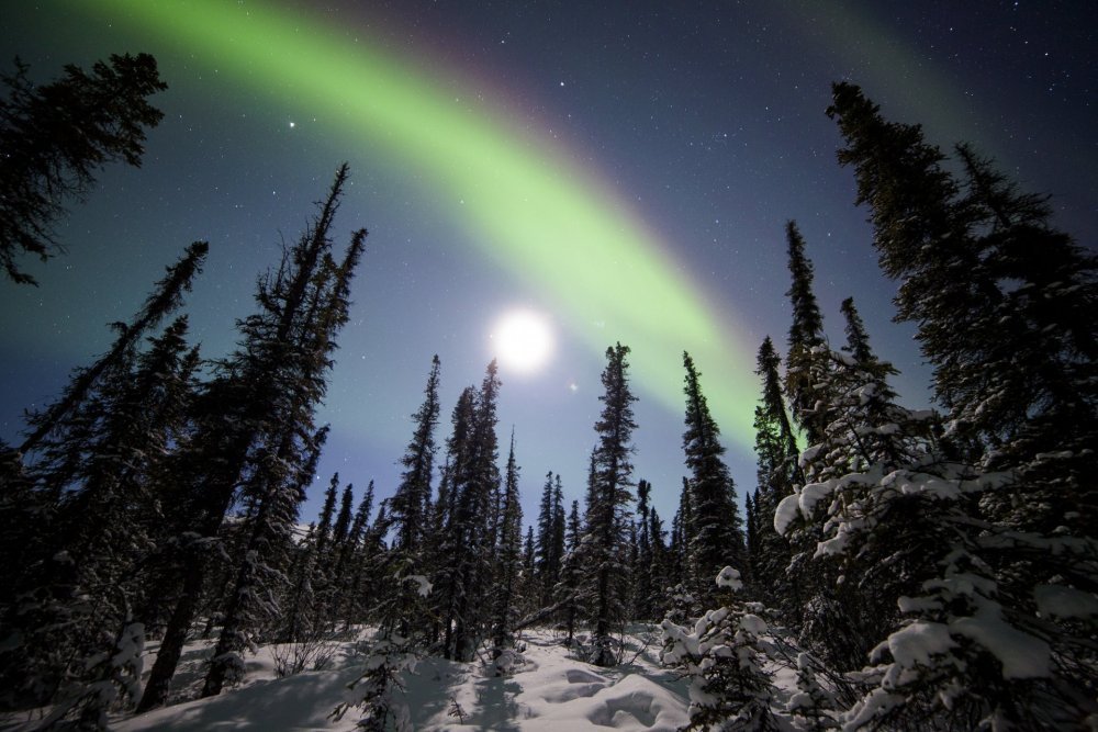 Alaska, USA : Northern Lights Trip Planning