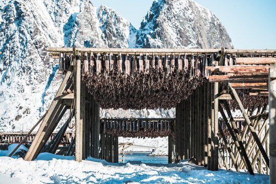culture : Get to Lofoten Islands Norway